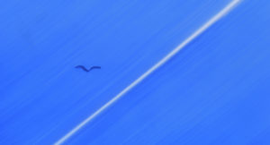 Flying - High Res Still Frame of Airport, Paint on Glass Animation